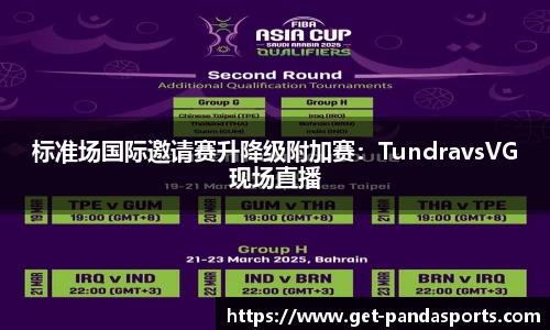 标准场国际邀请赛升降级附加赛：TundravsVG现场直播