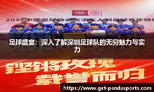 足球盛宴：深入了解深圳足球队的无穷魅力与实力